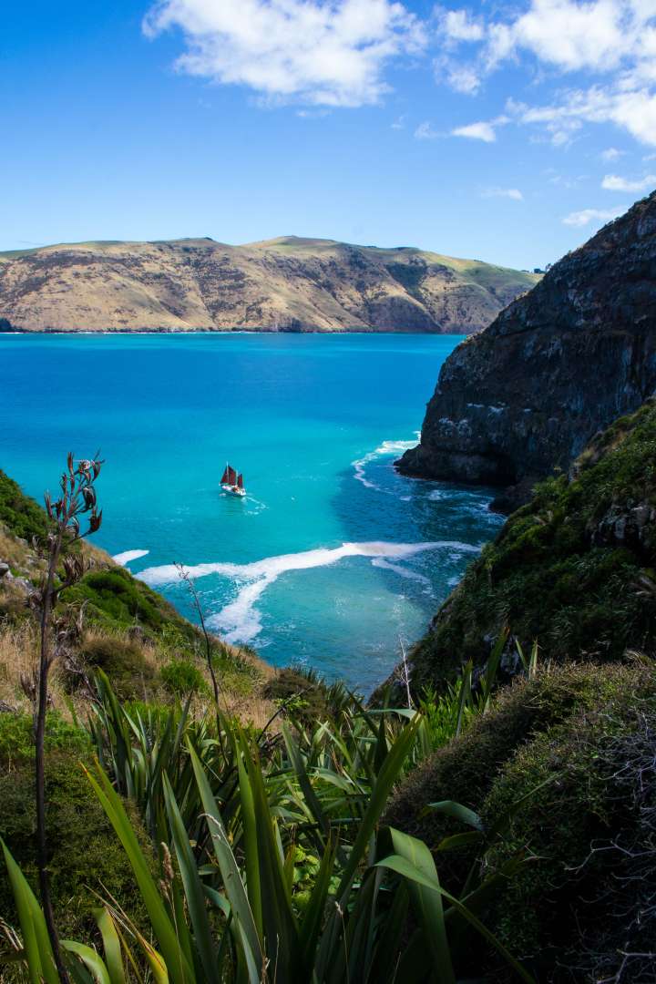 Tour boat in calm waters of Akaroa Harbour surrounded by volcanic cliffs